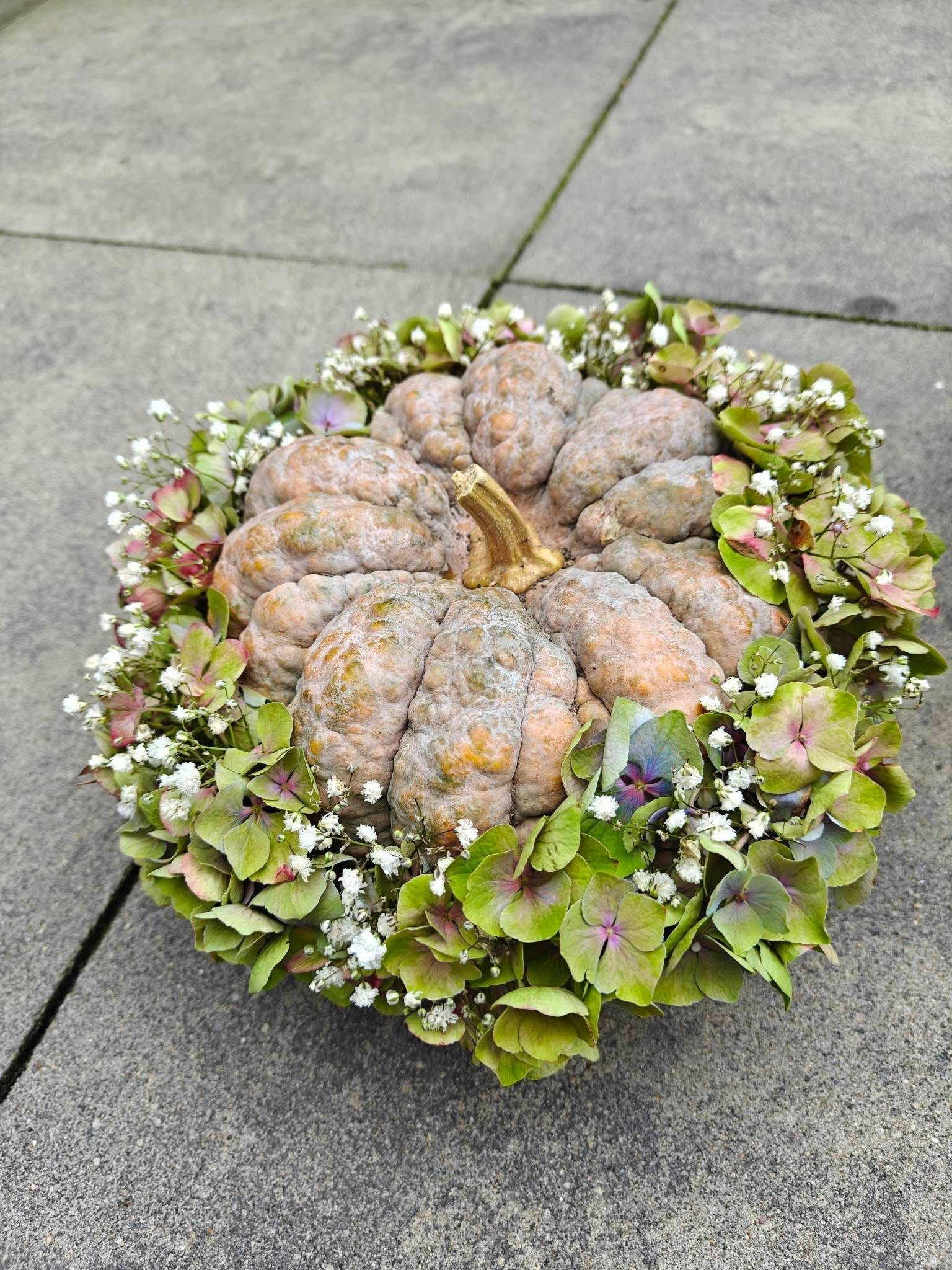 Herfststuk met pompoen en hortensia